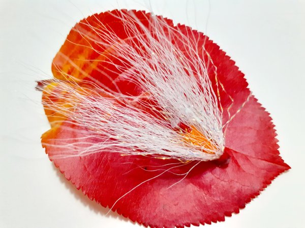 Kokkelin taimenvarma oranssipunaisella rungolla